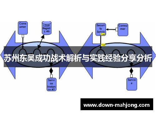 苏州东吴成功战术解析与实践经验分享分析 苏州东吴成功战术解析与实践经验分享分析