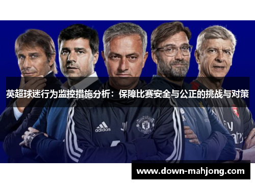 英超球迷行为监控措施分析：保障比赛安全与公正的挑战与对策