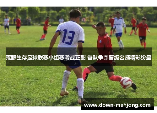 荒野生存足球联赛小组赛激战正酣 各队争夺晋级名额精彩纷呈