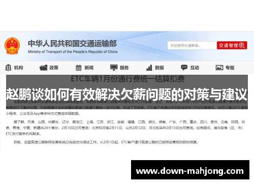 赵鹏谈如何有效解决欠薪问题的对策与建议