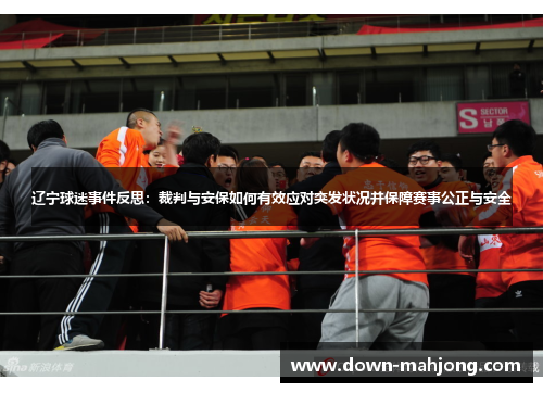 辽宁球迷事件反思：裁判与安保如何有效应对突发状况并保障赛事公正与安全