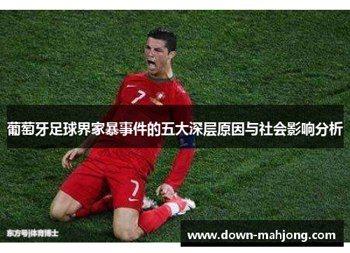 葡萄牙足球界家暴事件的五大深层原因与社会影响分析