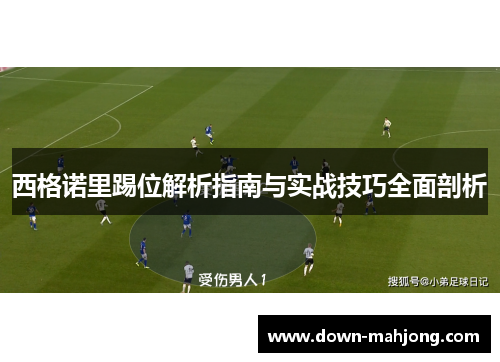西格诺里踢位解析指南与实战技巧全面剖析 西格诺里踢位解析指南与实战技巧全面剖析