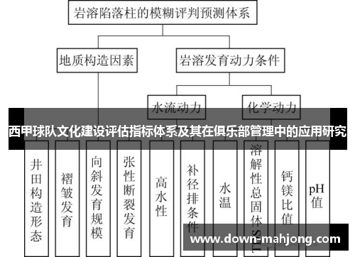 西甲球队文化建设评估指标体系及其在俱乐部管理中的应用研究 西甲球队文化建设评估指标体系及其在俱乐部管理中的应用研究