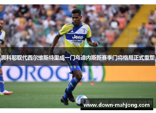 奥科耶取代西尔维斯特里成一门乌迪内斯新赛季门将格局正式重塑