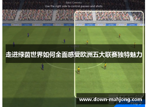 走进绿茵世界如何全面感受欧洲五大联赛独特魅力