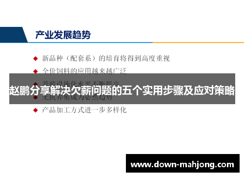 赵鹏分享解决欠薪问题的五个实用步骤及应对策略