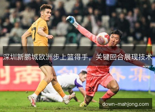 深圳新鹏城欧洲步上篮得手,关键回合展现技术 深圳新鹏城欧洲步上篮得手,关键回合展现技术